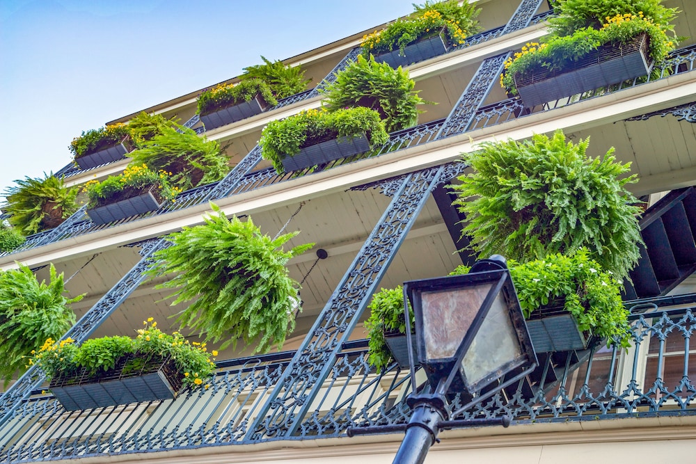 Crowne Plaza New Orleans French Qtr - Astor by IHG — Attractions in the area in New Orleans, Louisiana