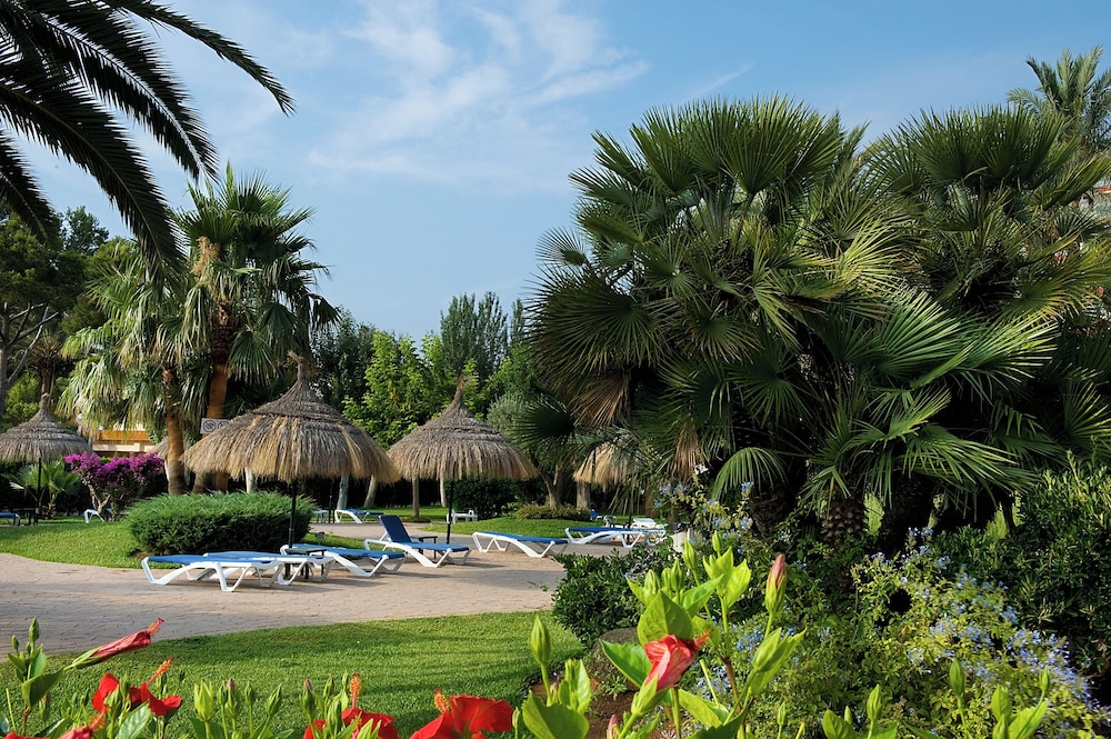 Apartamentos Siesta I — Sports & recreation in Alcudia, Balearic Islands