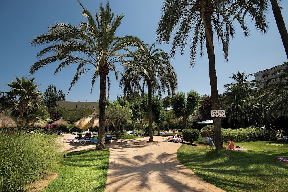 Apartamentos Siesta I — Sports & recreation in Alcudia, Balearic Islands