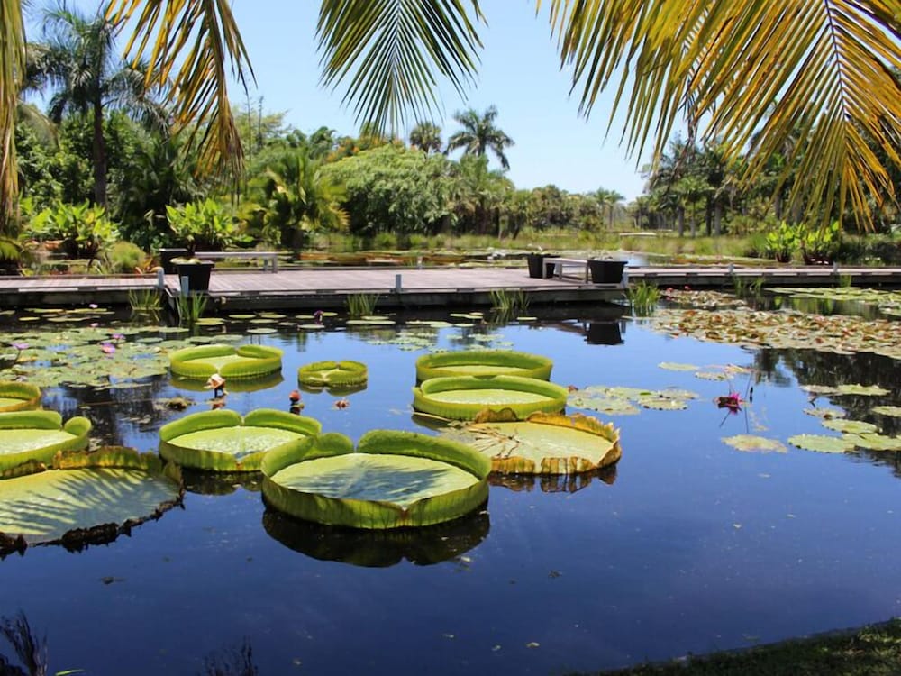 Signia Hilton Naples Grande Beach Resort — Attractions in the area in Bonita Springs, Florida