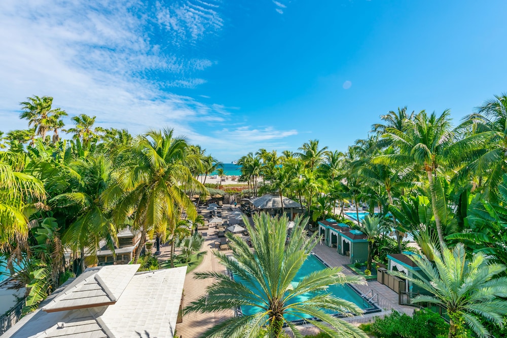 The National Hotel Miami Beach - An Adults Only Resort — Swimming pool in Miami, Florida