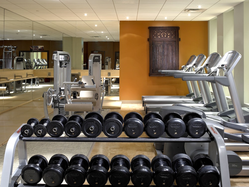 Kimpton Hotel Palomar Los Angeles Beverly Hills by IHG — Sports & recreation in Los Angeles, California