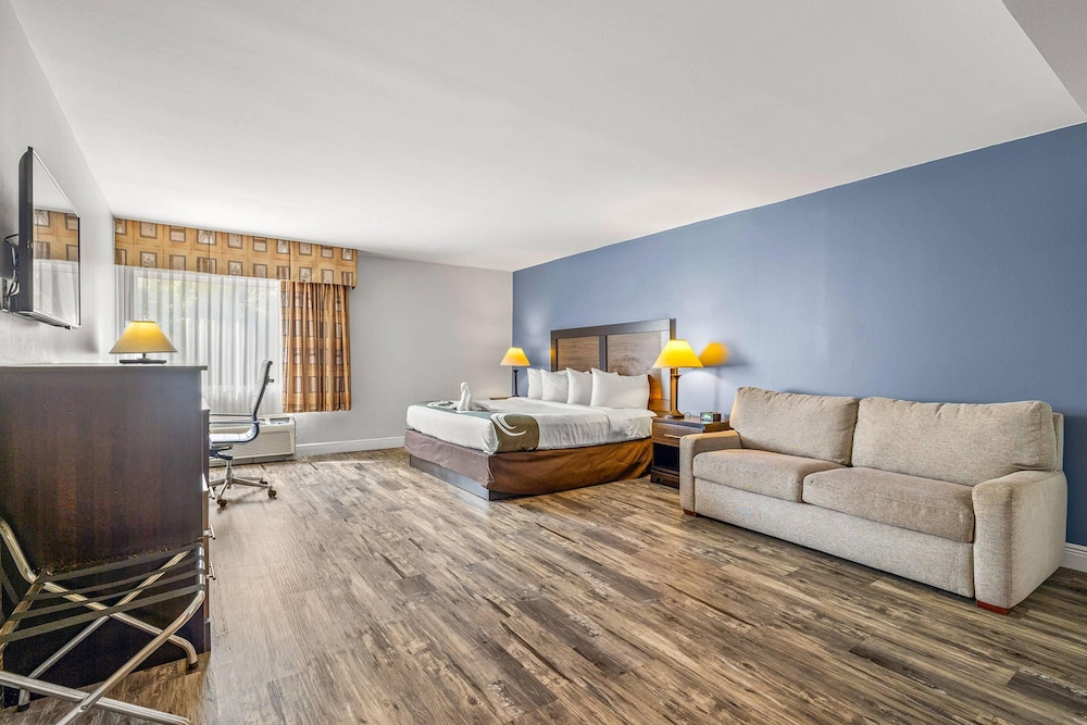 Quality Inn & Suites Tampa near Fairgrounds and Casino — Hotel rooms in Tampa, Florida