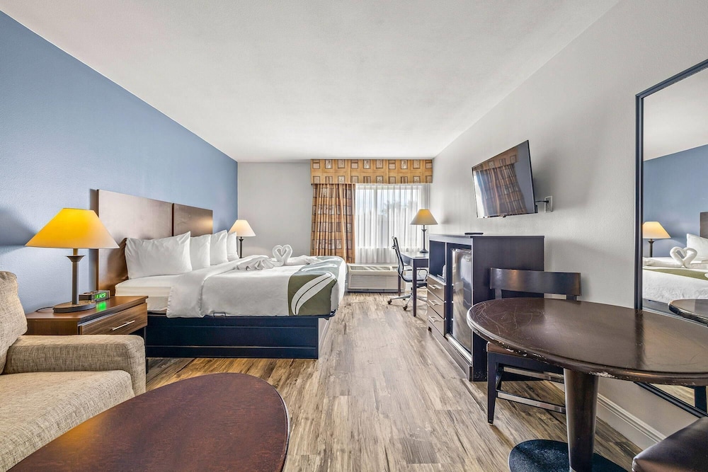 Quality Inn & Suites Tampa near Fairgrounds and Casino - zdjęcie 5