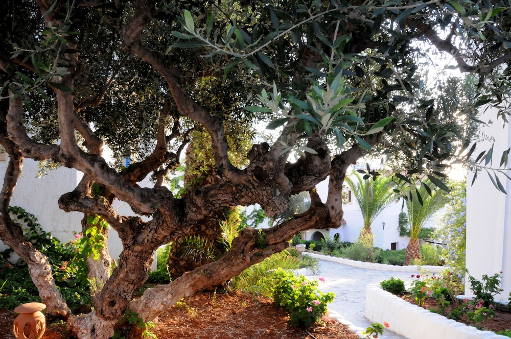 Hersonissos Village Hotel & Bungalows - All inclusive — Hotel building in Hersonissos
