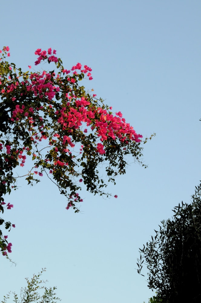 Hersonissos Village Hotel & Bungalows - All inclusive — Attractions in the area in Hersonissos