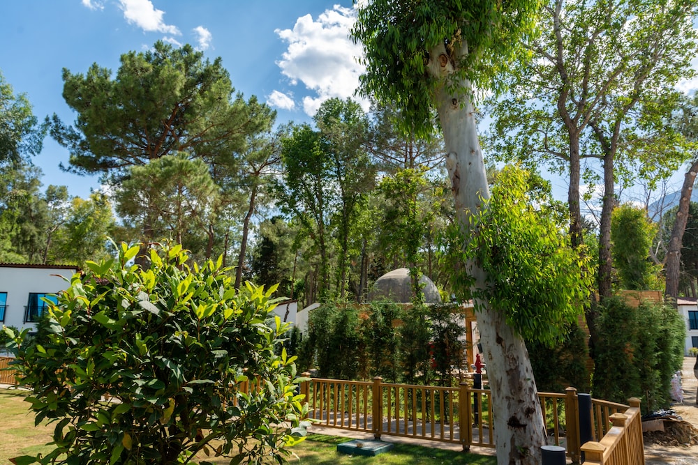 Baia Salima Kemer — Attractions in the area in Kemer
