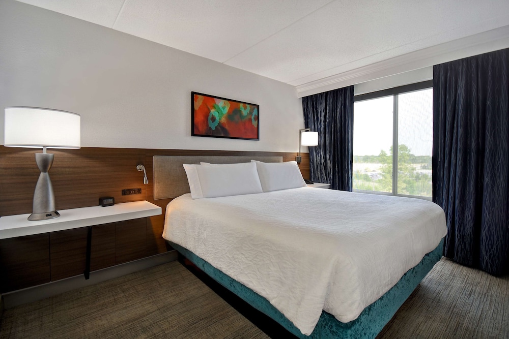 Hilton Garden Inn Detroit Metro Airport — Hotel rooms in Romulus, Michigan