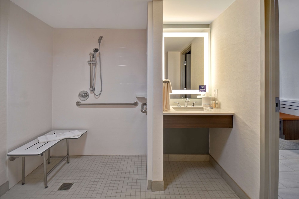 Hilton Garden Inn Detroit Metro Airport — Hotel rooms in Romulus, Michigan