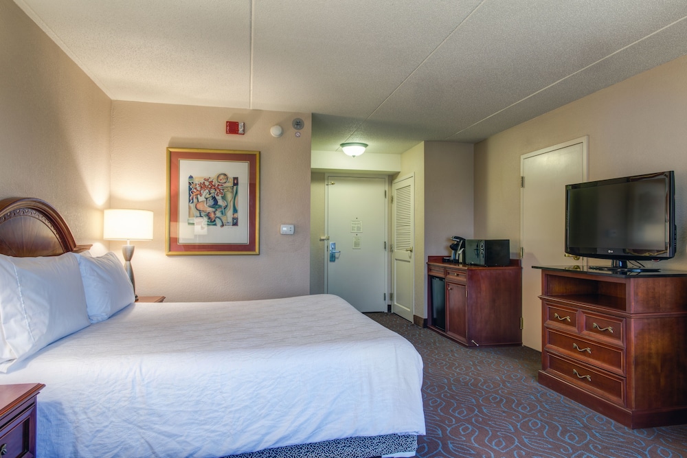 Hilton Garden Inn Detroit Metro Airport — Hotel rooms in Romulus, Michigan