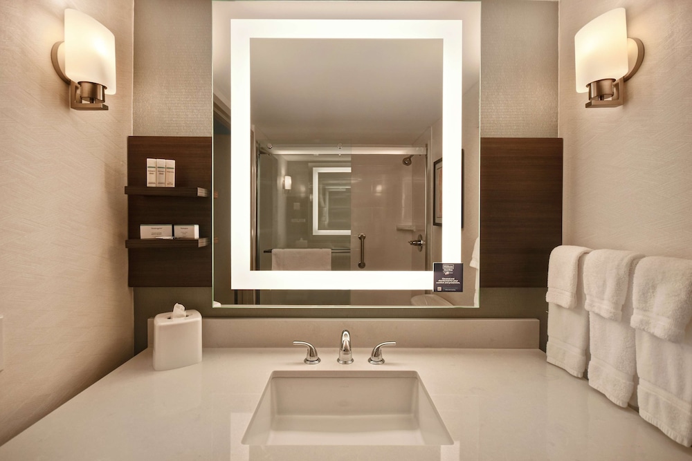 Hilton Garden Inn Detroit Metro Airport — Hotel rooms in Romulus, Michigan