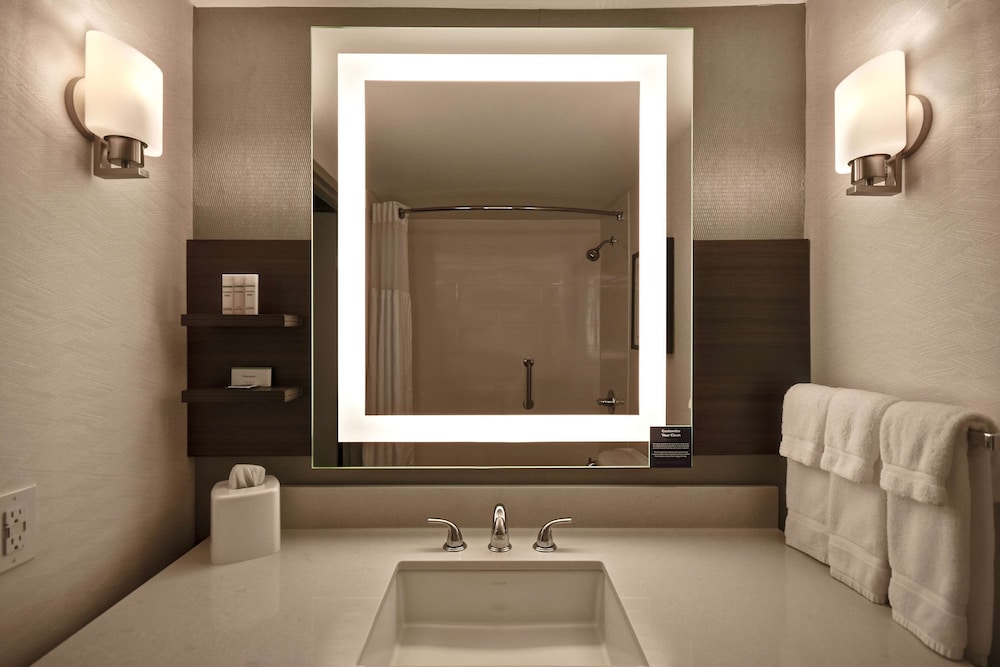 Hilton Garden Inn Detroit Metro Airport — Hotel rooms in Romulus, Michigan