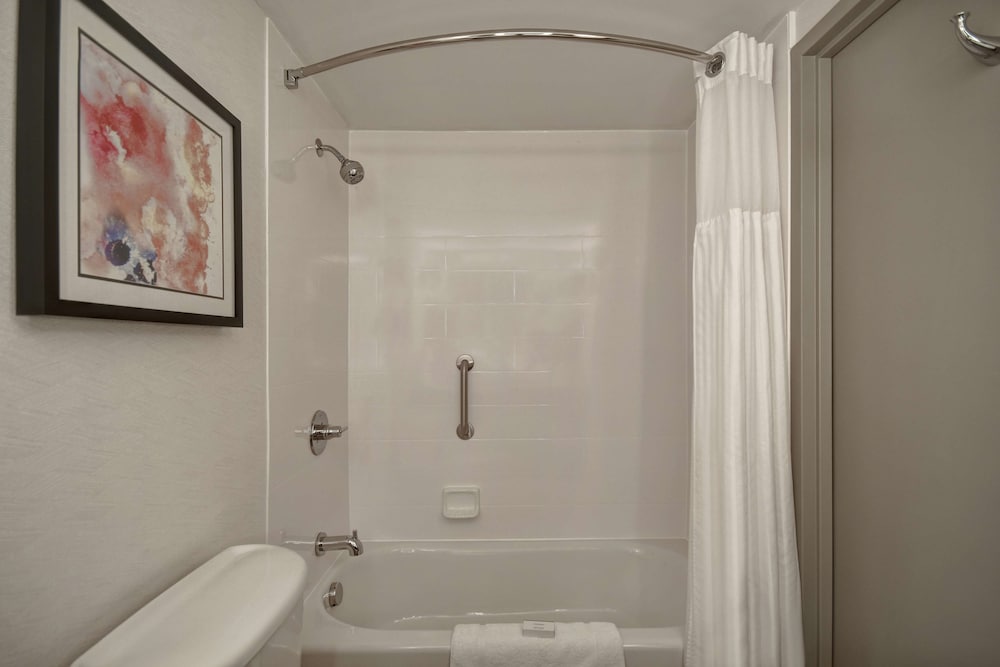 Hilton Garden Inn Detroit Metro Airport — Hotel rooms in Romulus, Michigan