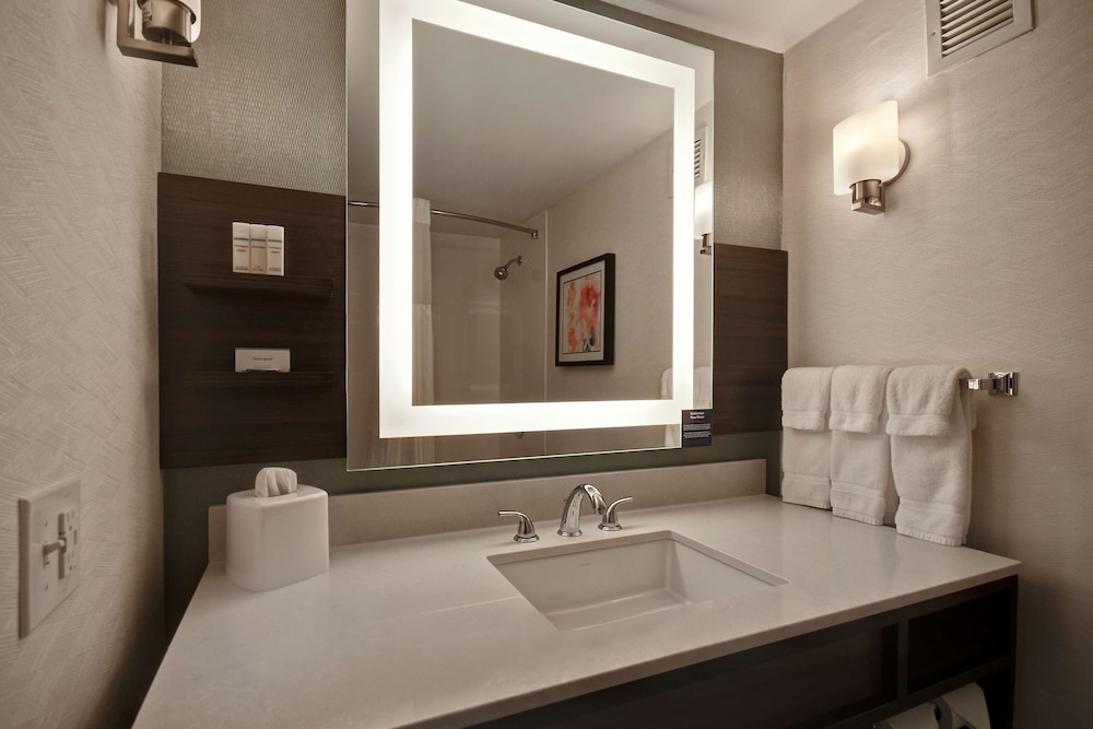 Hilton Garden Inn Detroit Metro Airport — Hotel rooms in Romulus, Michigan