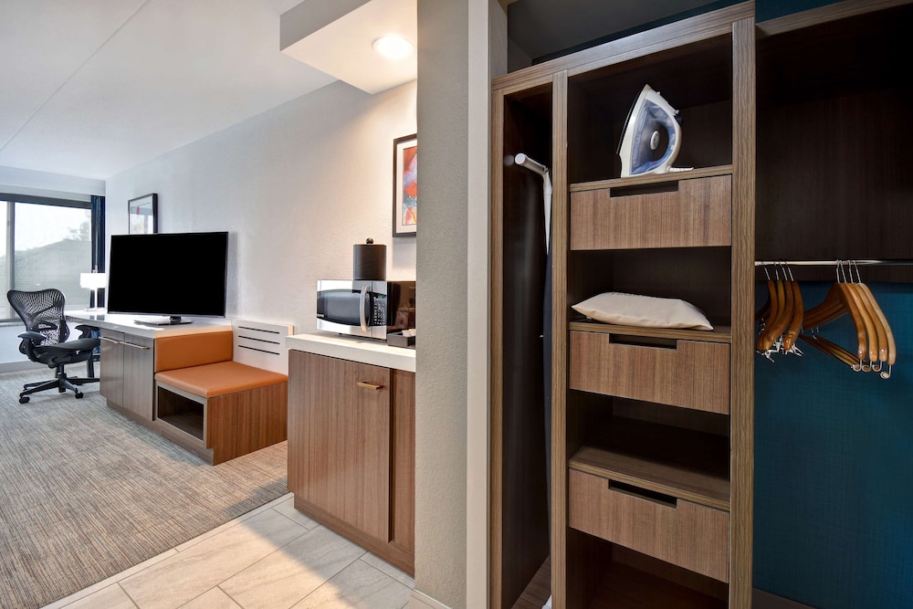 Hilton Garden Inn Detroit Metro Airport — Hotel rooms in Romulus, Michigan
