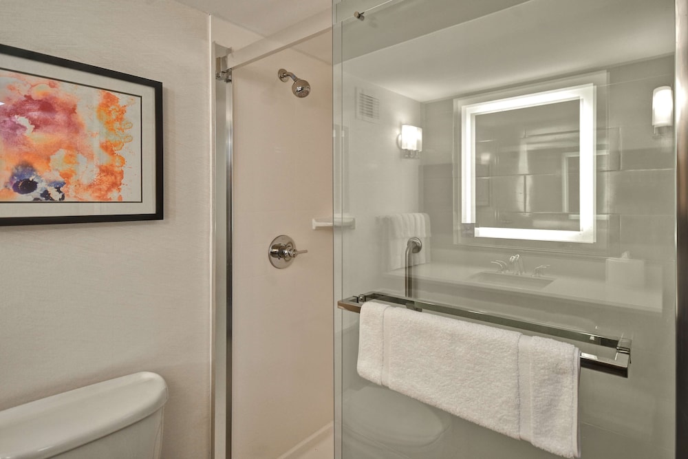 Hilton Garden Inn Detroit Metro Airport — Hotel rooms in Romulus, Michigan