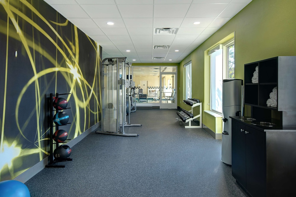 Hilton Garden Inn Detroit Metro Airport — Sports & recreation in Romulus, Michigan