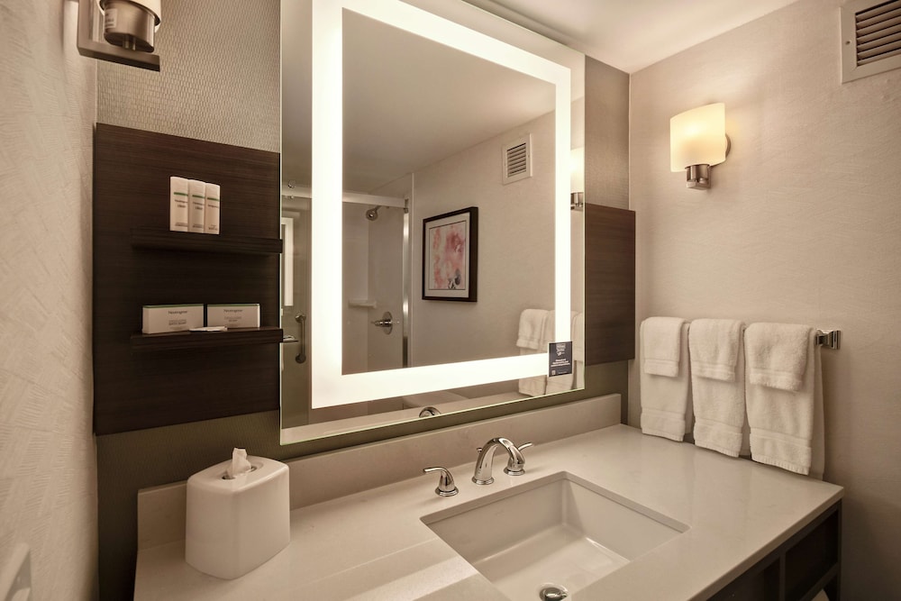Hilton Garden Inn Detroit Metro Airport — Hotel rooms in Romulus, Michigan