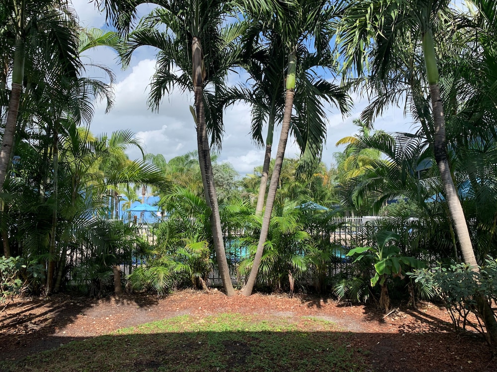 Rodeway Inn & Suites Fort Lauderdale Airport & Cruise Port — Hotel building in Fort Lauderdale, Florida