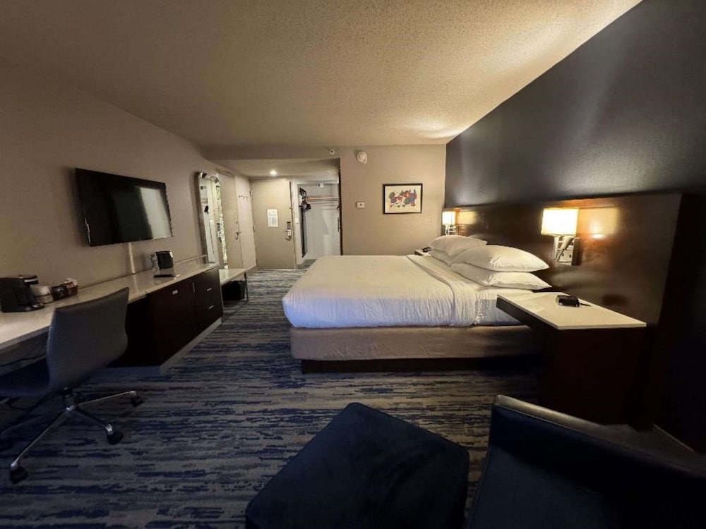 Skyline Hotel Detroit Airport, SureStay Collection by Best Western — Hotel rooms in Romulus, Michigan