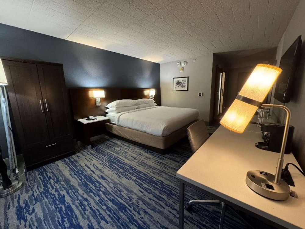 Skyline Hotel Detroit Airport, SureStay Collection by Best Western — Hotel rooms in Romulus, Michigan