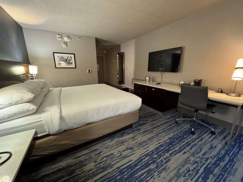 Skyline Hotel Detroit Airport, SureStay Collection by Best Western — Hotel rooms in Romulus, Michigan
