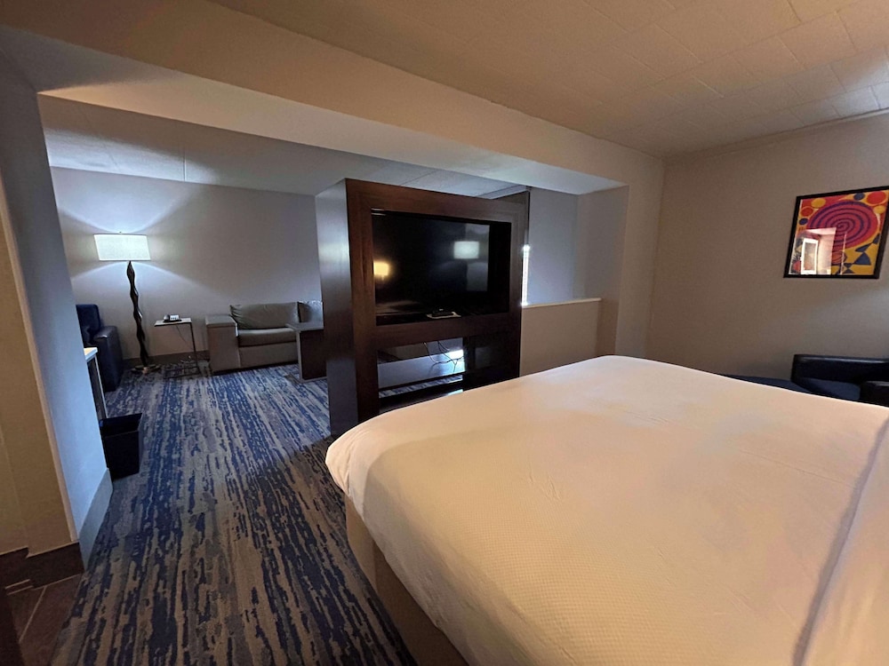 Skyline Hotel Detroit Airport, SureStay Collection by Best Western — Hotel rooms in Romulus, Michigan