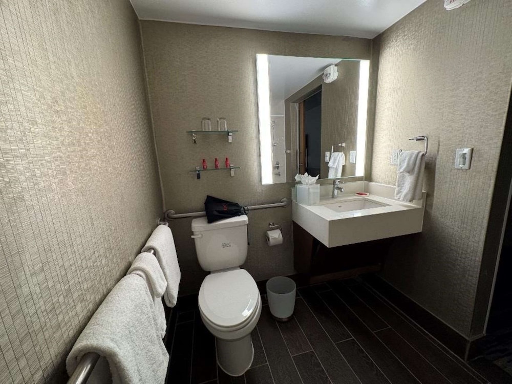 Skyline Hotel Detroit Airport, SureStay Collection by Best Western — Hotel rooms in Romulus, Michigan