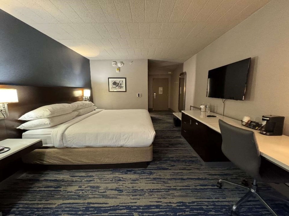 Skyline Hotel Detroit Airport, SureStay Collection by Best Western — Hotel rooms in Romulus, Michigan