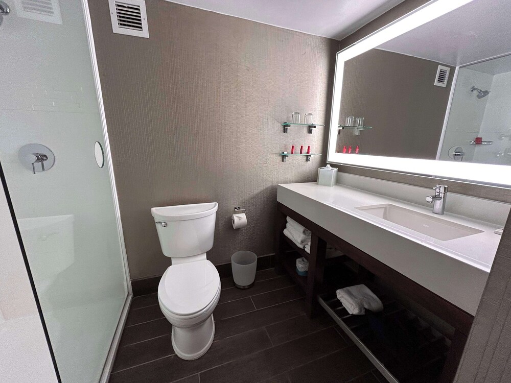 Skyline Hotel Detroit Airport, SureStay Collection by Best Western — Hotel rooms in Romulus, Michigan