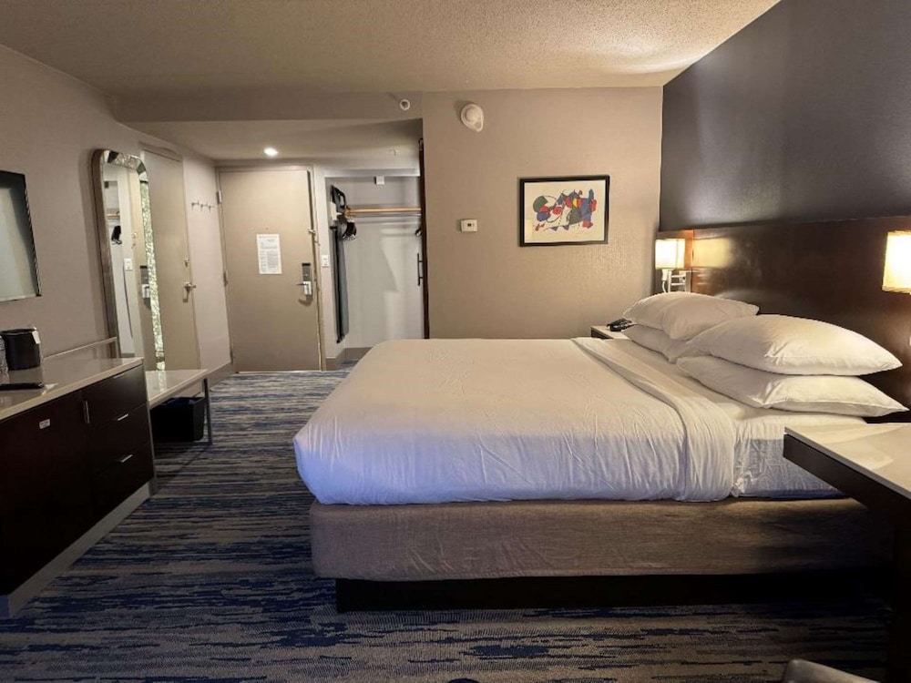 Skyline Hotel Detroit Airport, SureStay Collection by Best Western — Hotel rooms in Romulus, Michigan