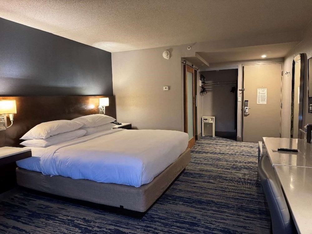 Skyline Hotel Detroit Airport, SureStay Collection by Best Western — Hotel rooms in Romulus, Michigan