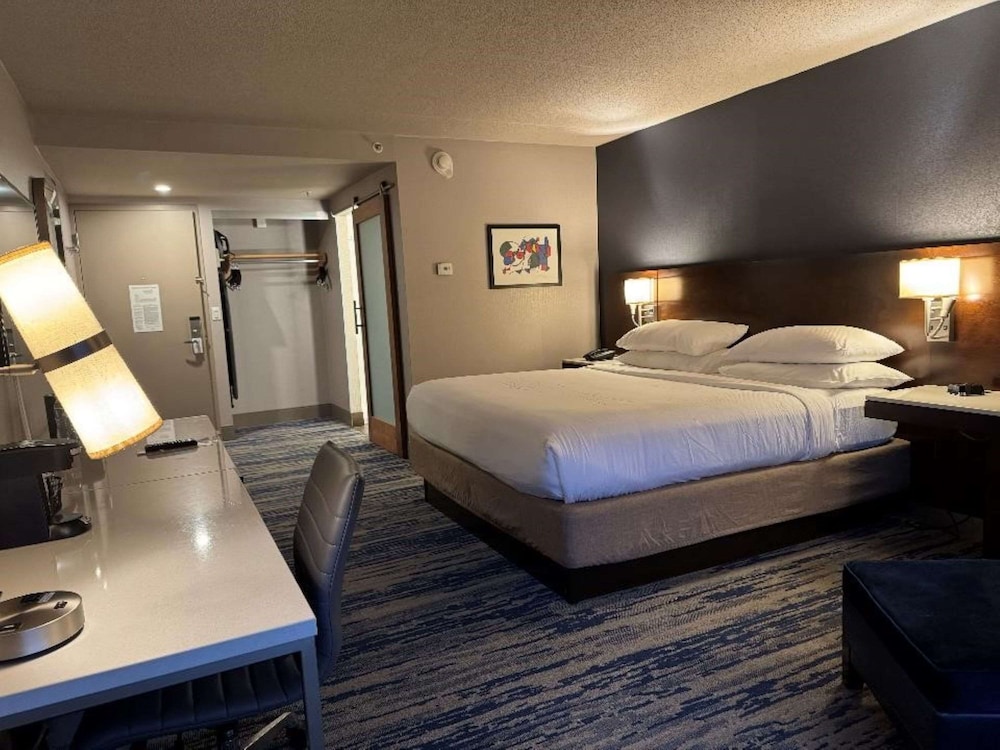 Skyline Hotel Detroit Airport, SureStay Collection by Best Western — Hotel rooms in Romulus, Michigan