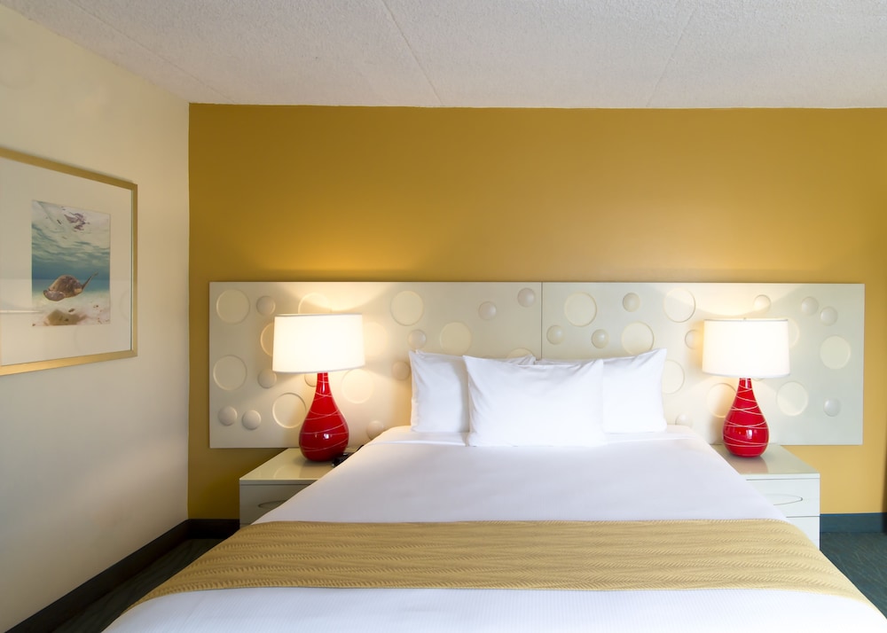 Coconut Waikiki Hotel — Hotel rooms in Honolulu, Hawaii