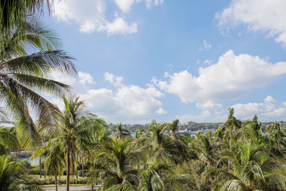 The Royal at Atlantis — Attractions in the area in Paradise Island, New Providence