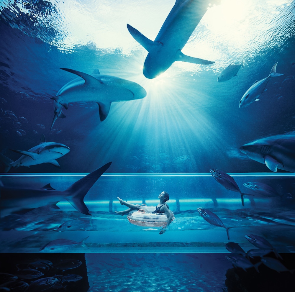 The Royal at Atlantis — Swimming pool in Paradise Island, New Providence