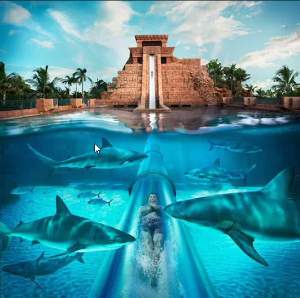 Comfort Suites Paradise Island — Sports & recreation in Paradise Island, New Providence