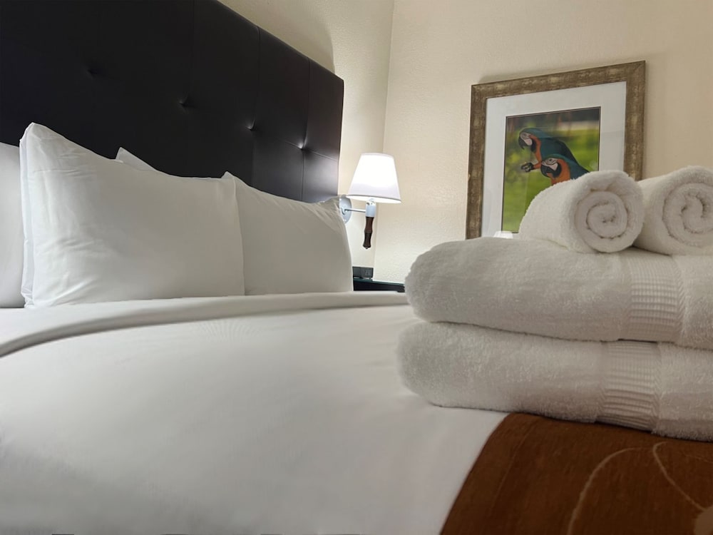 Comfort Suites Paradise Island — Hotel rooms in Paradise Island, New Providence