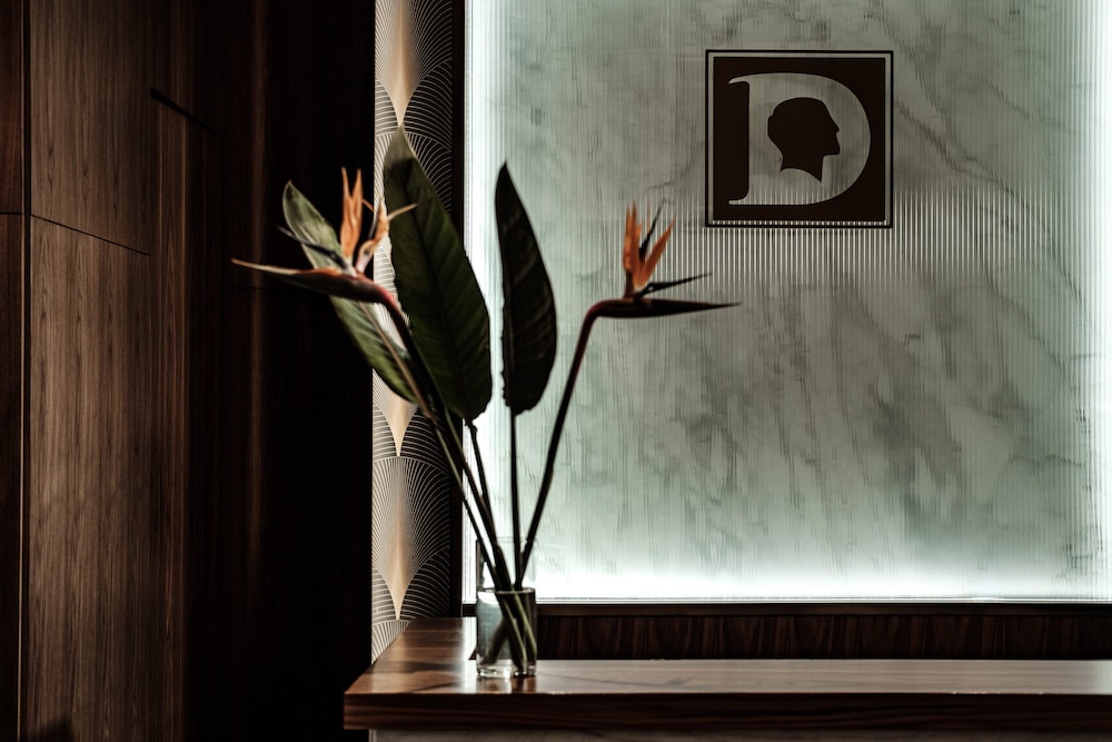 Diplomat Hotel — Restaurant & bars in Sliema, Malta Island