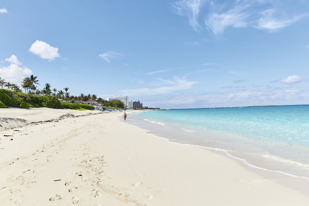 Hotel Riu Palace Paradise Island - Adults Only - All Inclusive — Beach in Paradise Island, New Providence