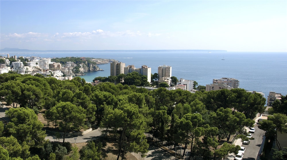 BQ Belvedere Hotel — Attractions in the area in La Bonanova, Balearic Islands