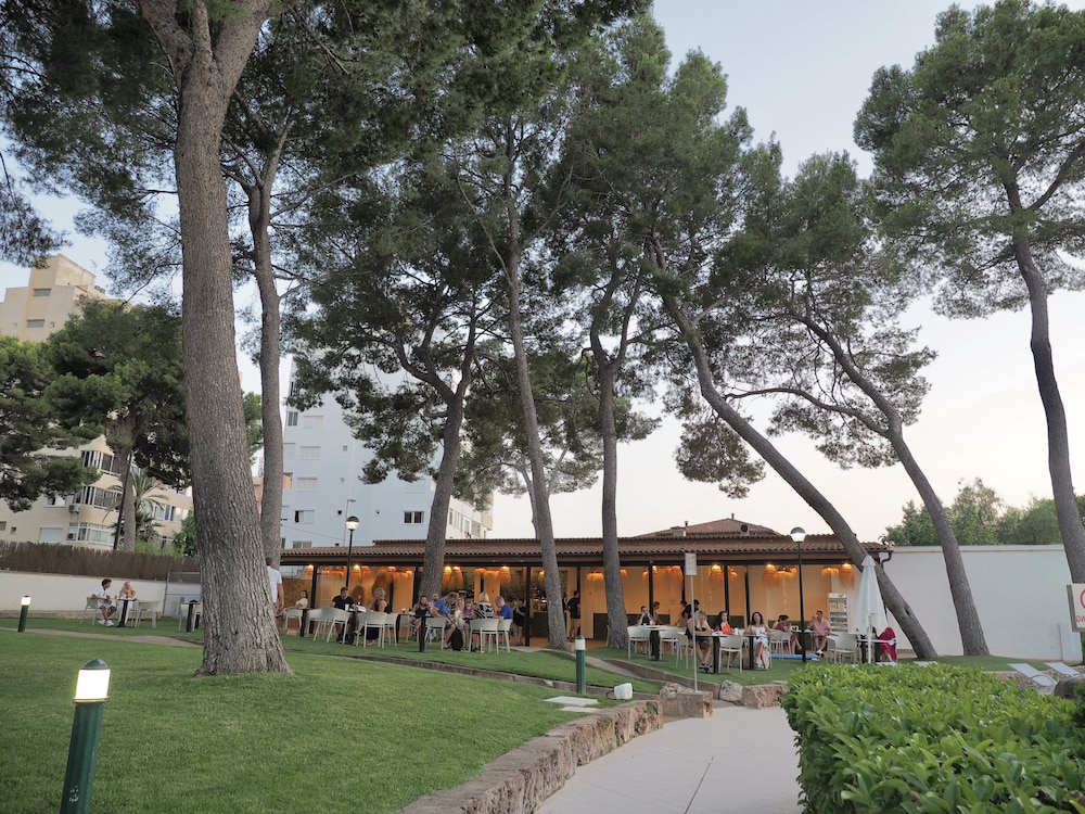BQ Belvedere Hotel — Restaurant & bars in La Bonanova, Balearic Islands