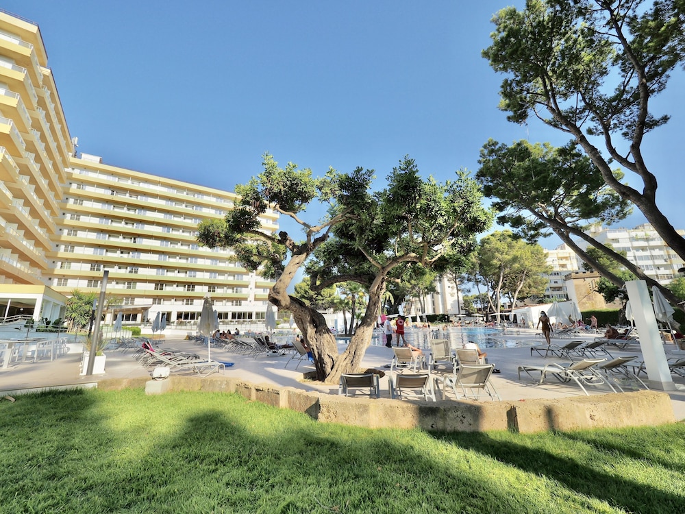 BQ Belvedere Hotel — Swimming pool in La Bonanova, Balearic Islands