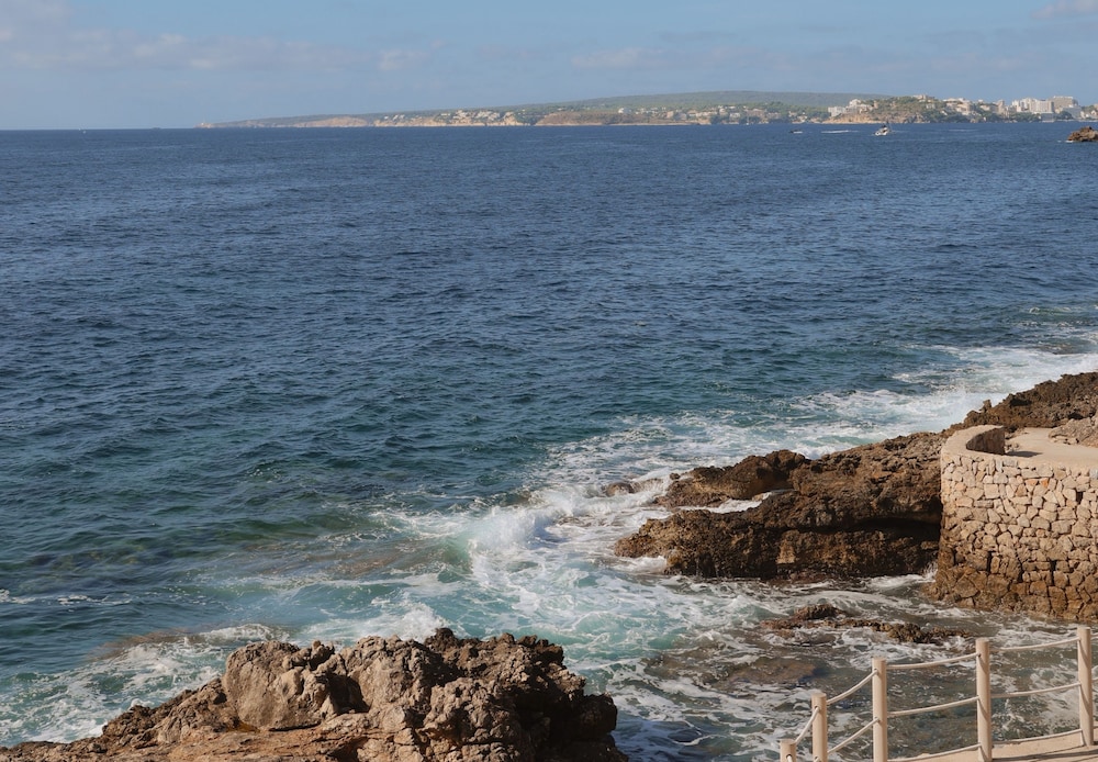 Hotel Bendinat — Beach in Portals Nous, Balearic Islands