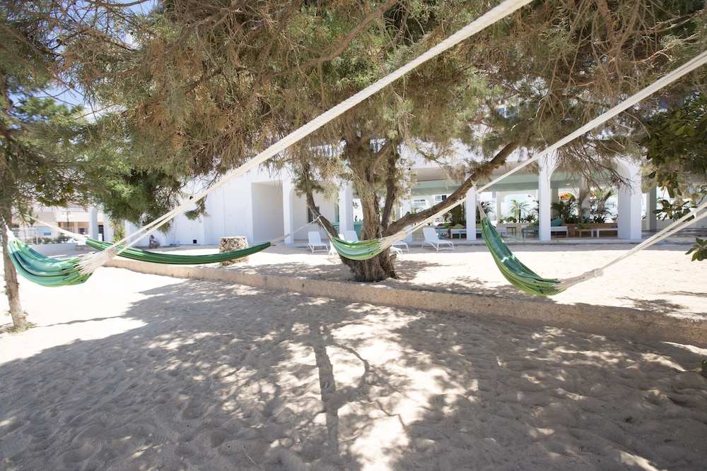 ENDLSS BEACH & DISCO HOTEL IBIZA ADULTS ONLY — Beach in San Antonio, Balearic Islands
