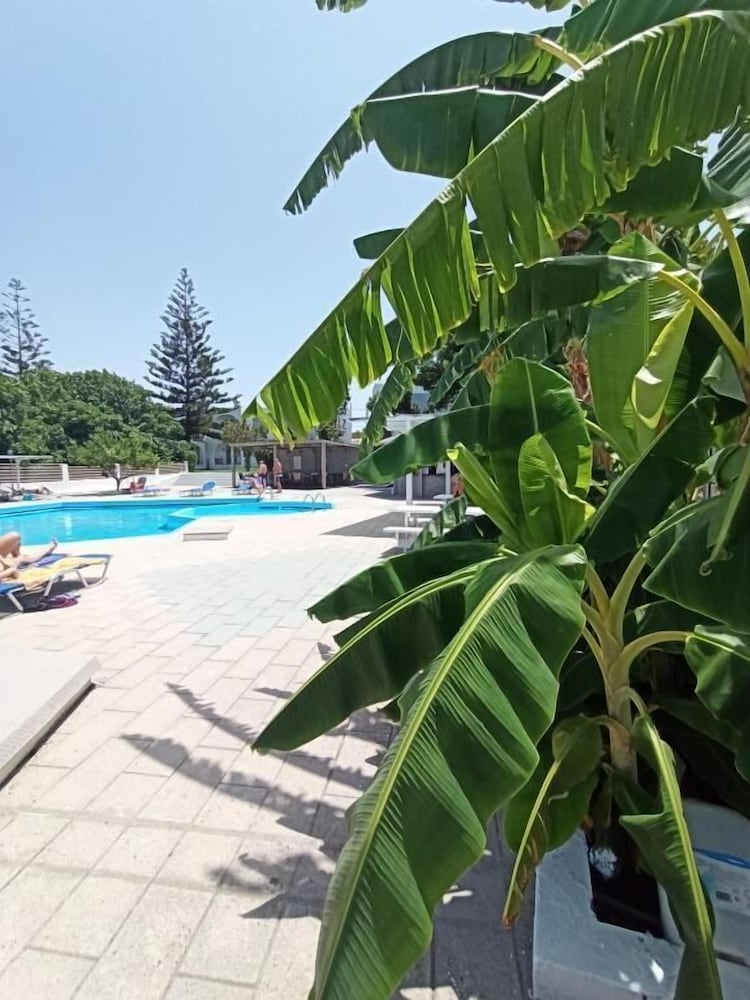 Summer Dream Hotel By Anayia All Inclusive Resorts — Swimming pool in Theologos, South Aegean