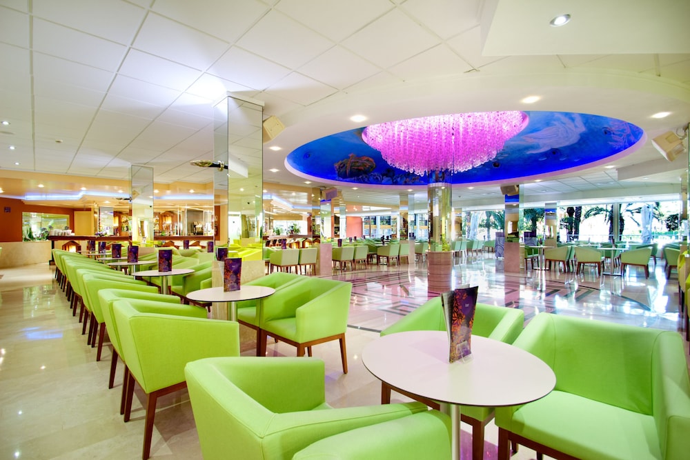 Hotel Servigroup Calypso — Restaurant & bars in Benidorm, Valencian Community