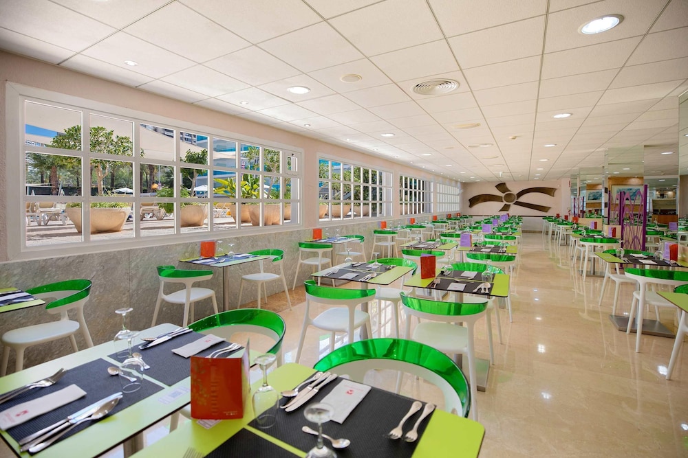 Hotel Servigroup Calypso — Restaurant & bars in Benidorm, Valencian Community