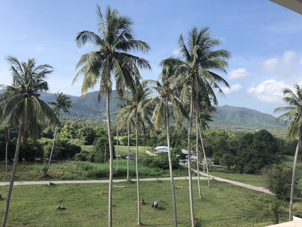 Amarin Samui Hotel — Attractions in the area in Mae Nam, Surat Thani