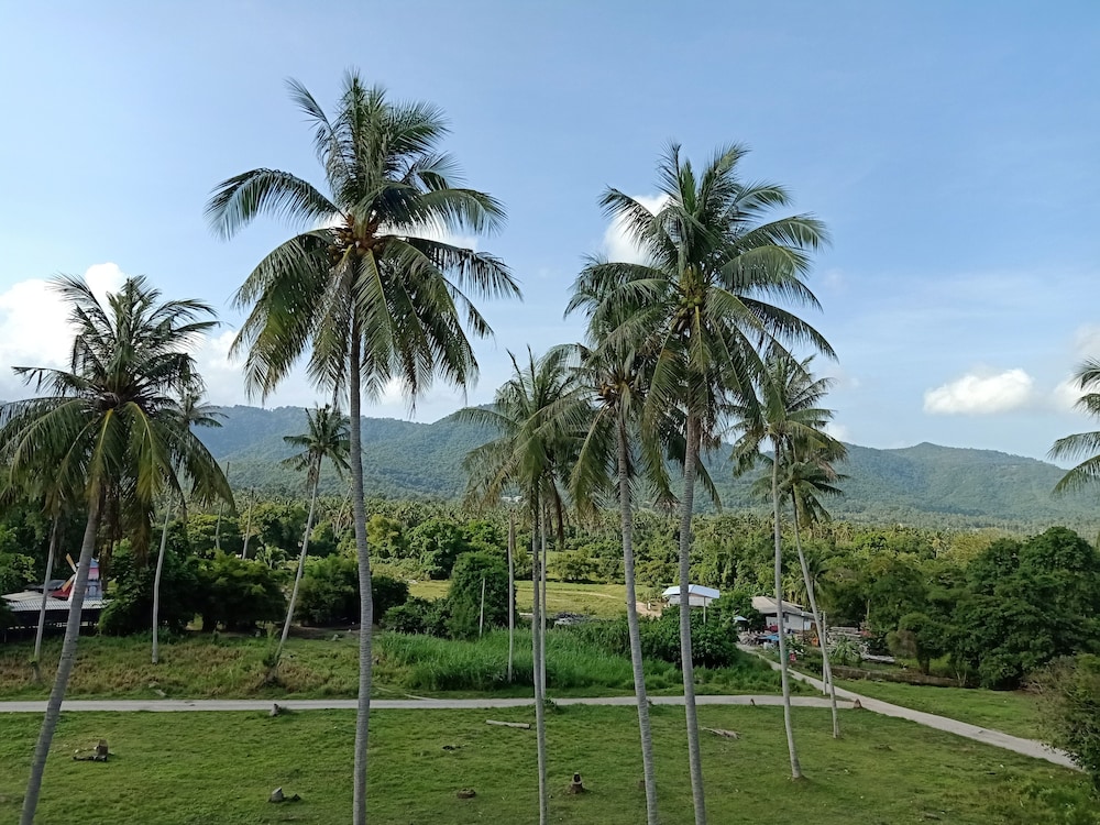 Amarin Samui Hotel — Attractions in the area in Mae Nam, Surat Thani